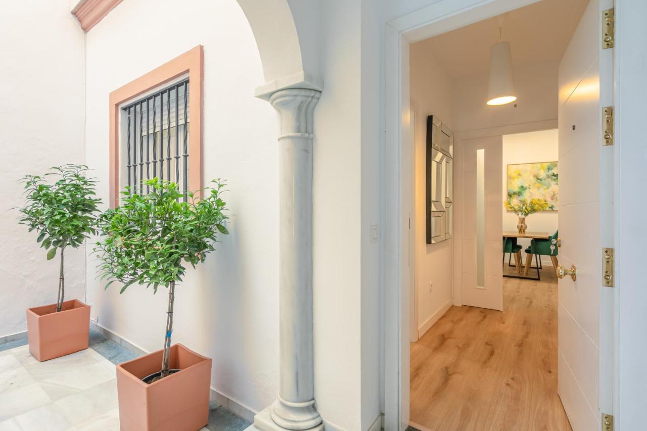 Green-apartments Pleno Centro Appartement *